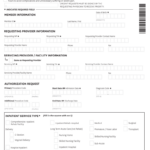 Ambetter IN PAF 0603 Fill And Sign Printable Template Online US