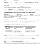 Authorization Care Form Fill Online Printable Fillable Blank