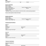 Authorization For Temporary Guardianship Of Minor Fill And Sign