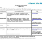 Authorization Form Provider Manual Florida Blue