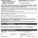Bcbs Oregon Prior Authorization Fill Out And Sign Printable PDF