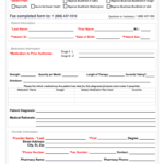 Bcbs Prior Authorization Form PDF Fill Out And Sign Printable PDF