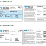 Blue Cross Blue Shield Government Providers KnowYourGovernment