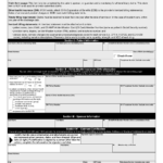 Champva Id Card Fill Online Printable Fillable Blank Form va 10