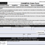 ChampVA Prior Authorization Form Download VA Form