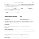 Child Support Consent Form 2022 Printable Consent Form 2022