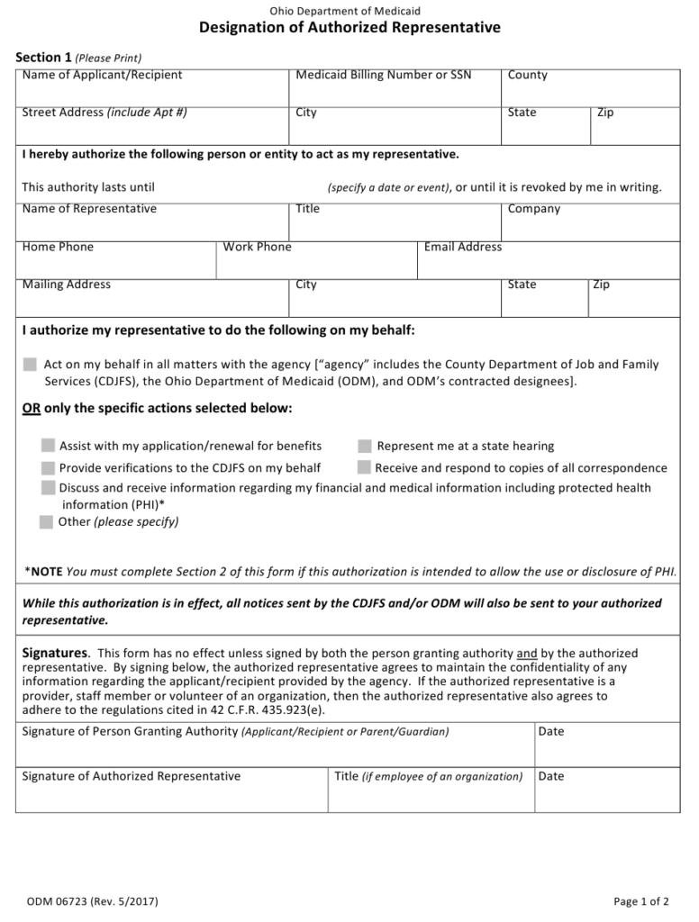 Form ODM06723 Download Fillable PDF Or Fill Online Designation Of 