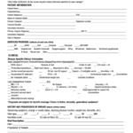 Form Pro 117 D Bcbs Request For Certification Form Printable Pdf Download