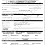 Form Reg0169 Authorization For Vehicle Registration Printable Pdf