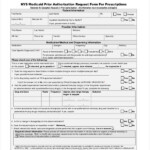 FREE 13 Prior Authorization Forms In PDF MS Word