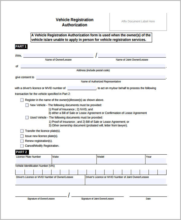 FREE 14 Vehicle Authorization Forms In PDF MS Word