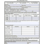 FREE 31 Therapy Forms In PDF MS Word XLS