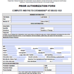 Free Catamaran Prior Prescription Rx Authorization Form PDF