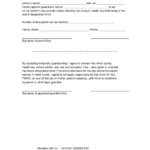 Guardianship Authorization Form Printable Pdf Download