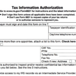 IRS Form 8821 Wiztax