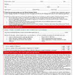 Lilly Cares Application Form Fill Out And Sign Printable PDF Template