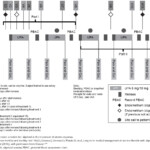 Mclaren Health Plan Prior Authorization Form Brilliant Full Text