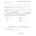 Printable Temporary Child Custody Letter Template Excel Example In 2021