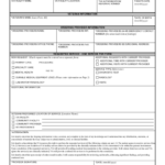 Va Form 10 10172 Fill Out And Sign Printable PDF Template SignNow